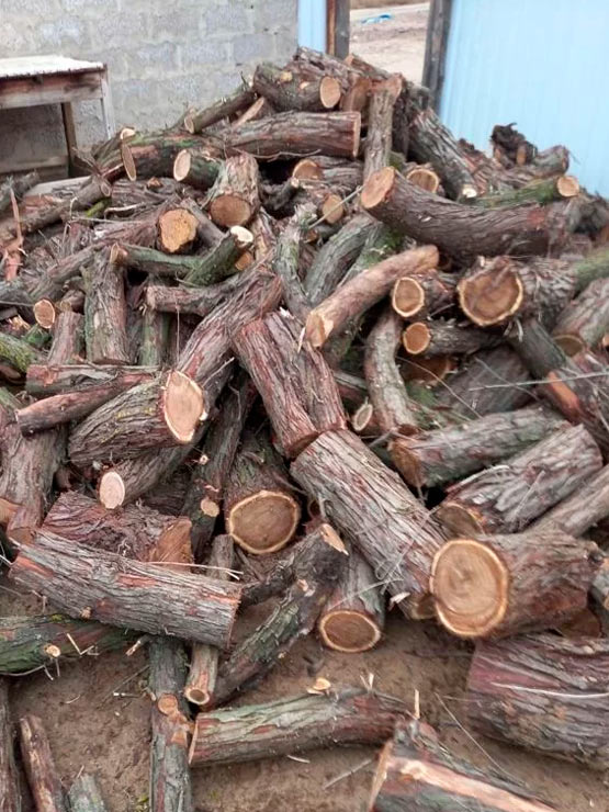 Купить дрова вяз не колотый в Астрахани