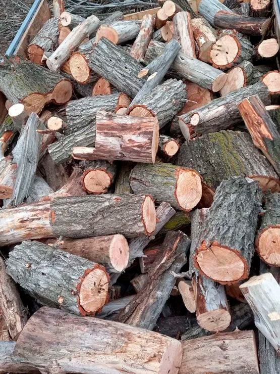 Купить дрова Ясень не колотый в Астрахани